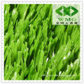 Soccer Field Grass